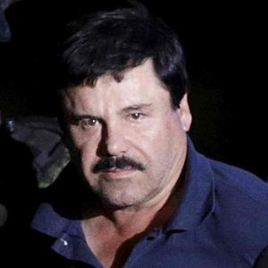 Meet your Posher, Bruce